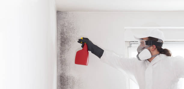 Best Mold Testing and Inspection Services in Gra Forks, ND